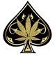 Ace Ultra Premium