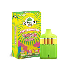Buy Cactus Online